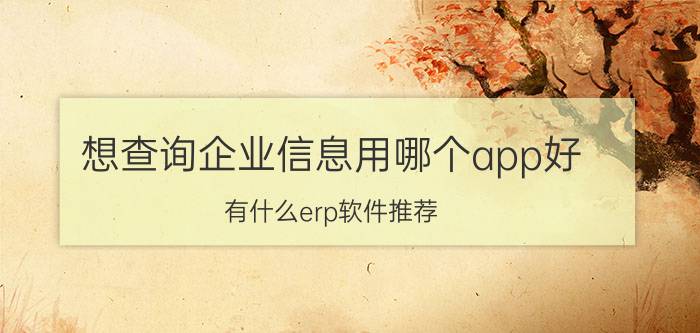 想查询企业信息用哪个app好 有什么erp软件推荐？